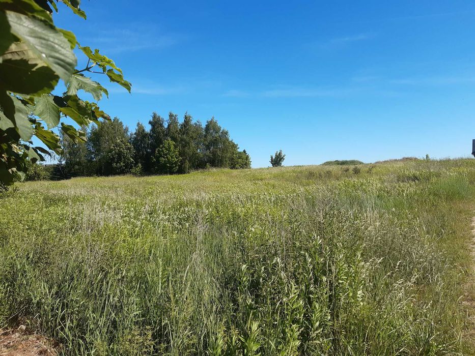 Działka siedliskowo-rolna w Leszczu - Widok 4