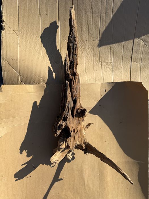 Korzeń akwariowy duży!!!