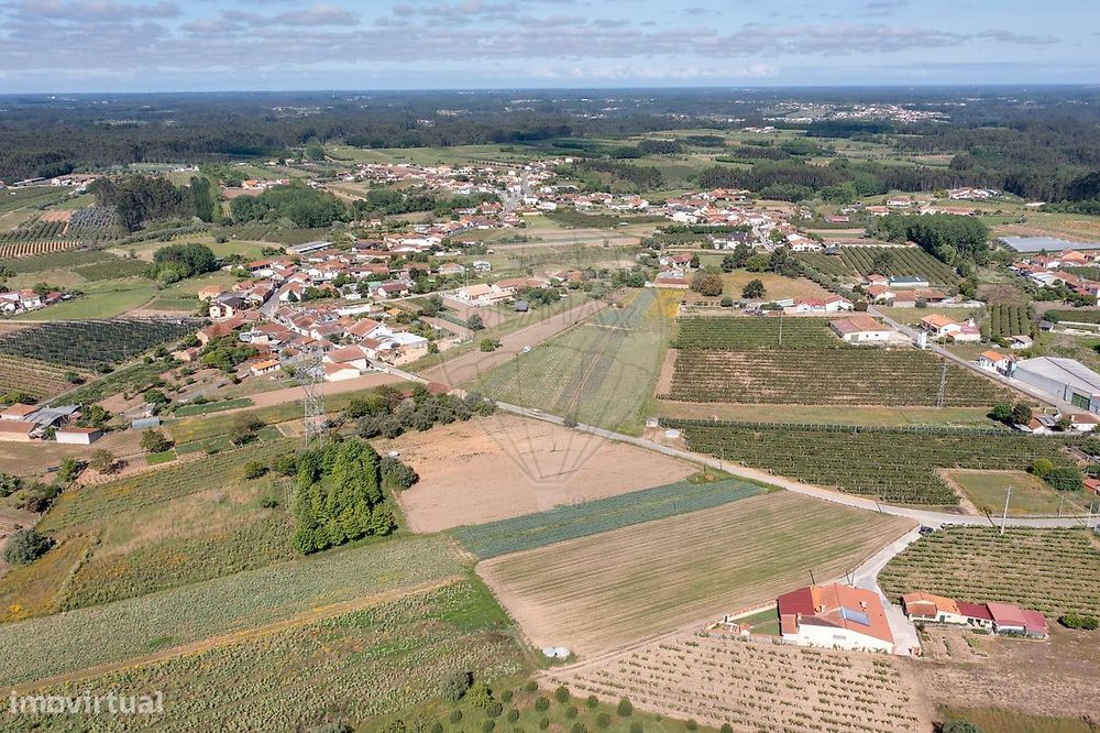 Terreno  para venda
