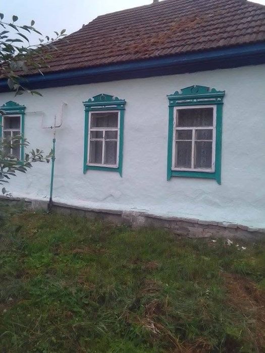 Продається частний будинок в селі Стольне Чернігівська область