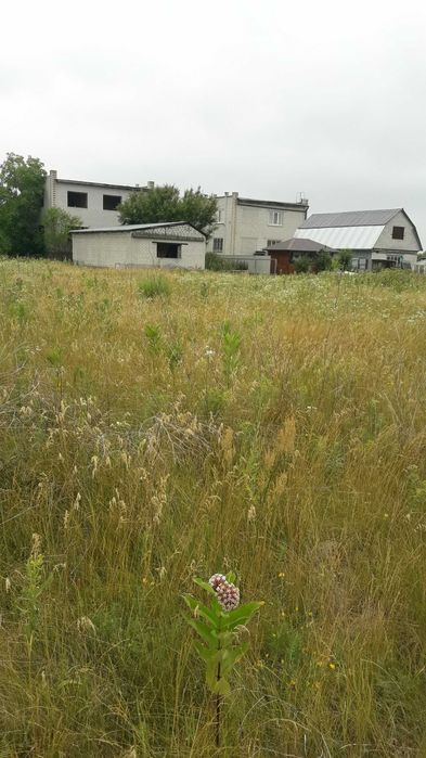 Продаж земельної ділянки в  с. Мошни, вулиця Горіхова