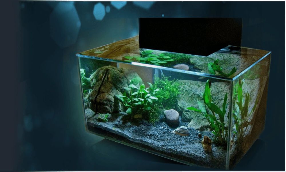 Aquário Fluval Edge - 23l