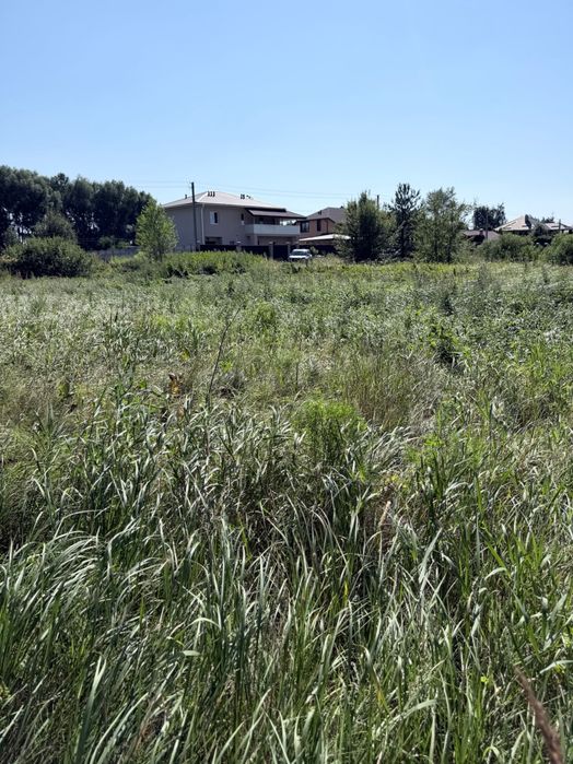 Продам земельну ділянку 11,75 сотки біля Десни. Село Рожни, СТ “Зачарована Десна”. Закрита територія. Ціна 1800 USD за сотку