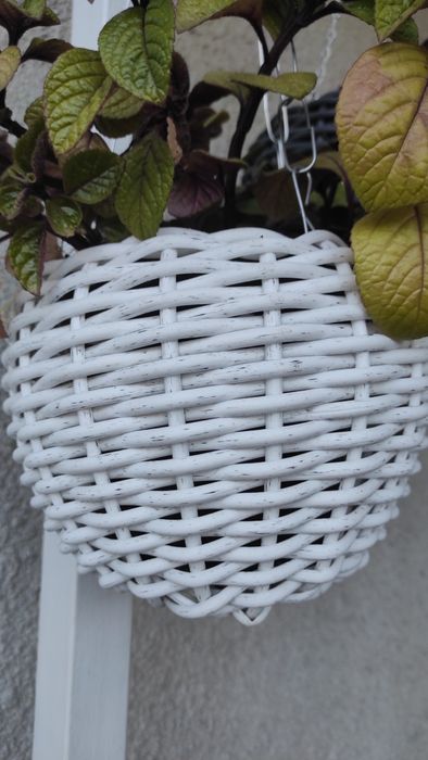 Підвісне кашпо на 2 літри