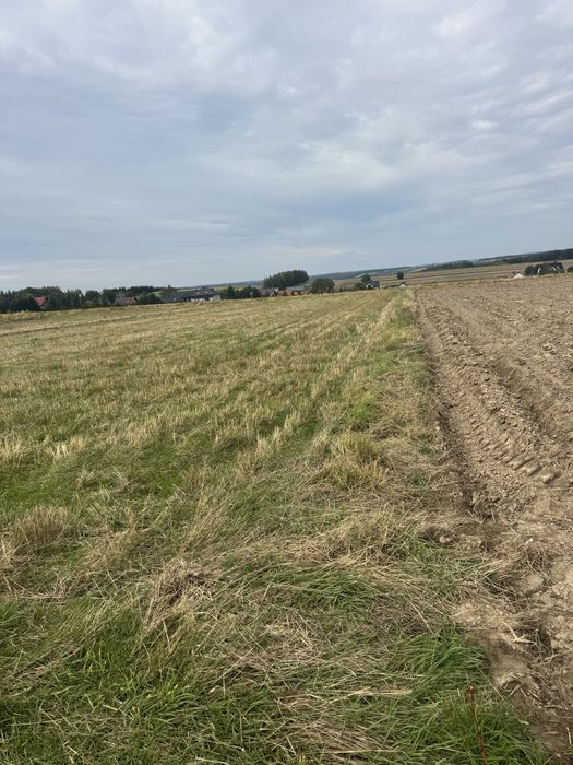 Sprzedam działkę z potencjałem budowlanym ulica Marianów Skała wieś - Widok 5