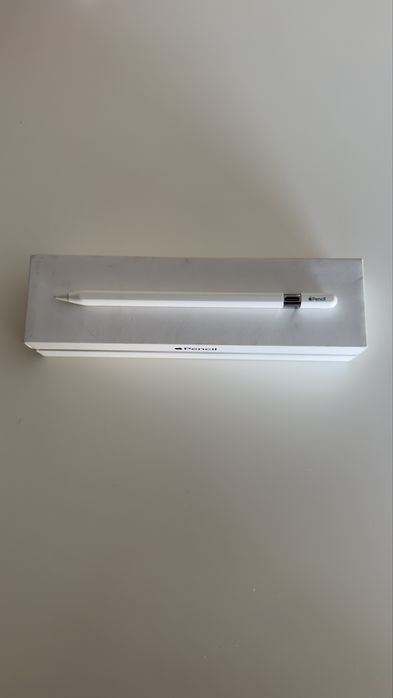 Apple Pencil USB - C / usada 1 mês