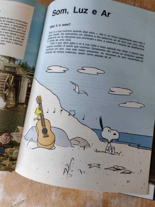 O Grande Livro de Perguntas e Respostas de Charlie Brown 5