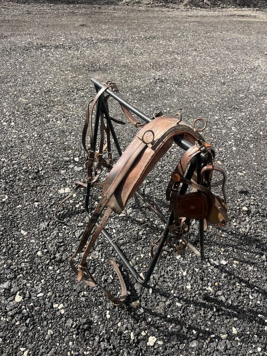 Arreio engatar ponei