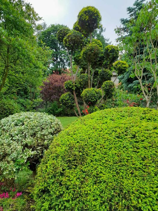 Usługi ogrodnicze, Wertykulacja, Cięcie żywopłotu, Pielęgnacja ogrodów