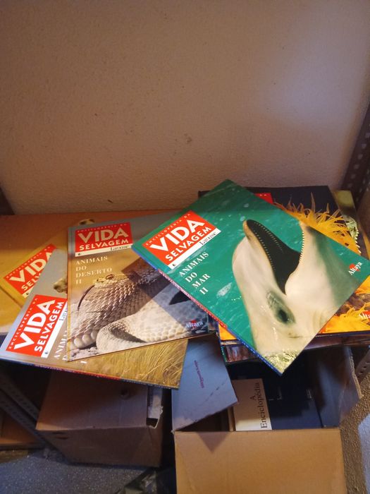 Coleção livros vida selvagem