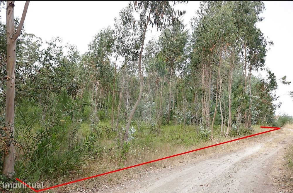 Terreno  para venda