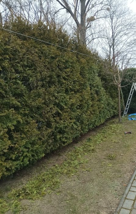 Kompleksowe usługi ogrodnicze tel 692.538.474