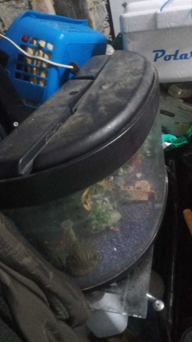 Aquário para peixes grande.