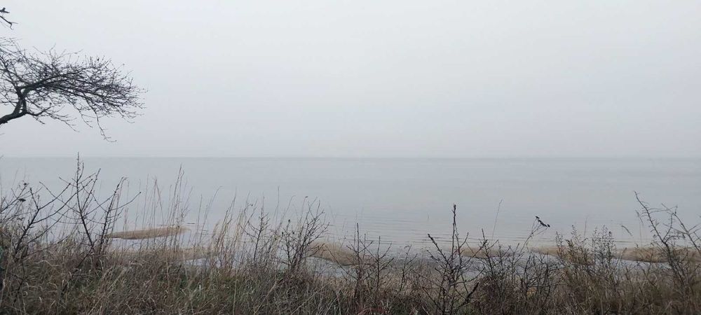 Вихід до води,  Сухолуччя, 22 сотки. Шикарне місце!