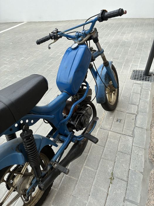Vendo casal fundadora 2 k-168