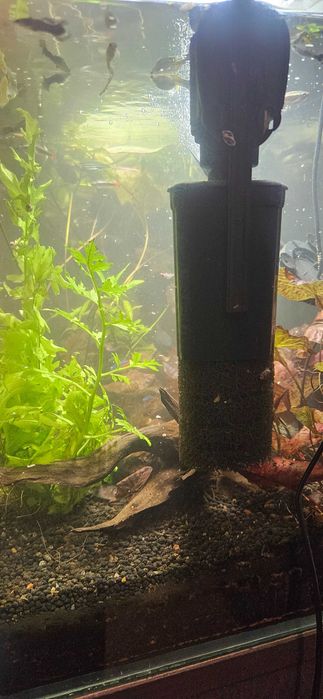 Sprzedam Akwarium 107l