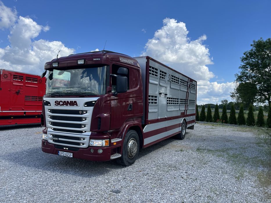 Scania R 400 do przewozu zwierząt bydła