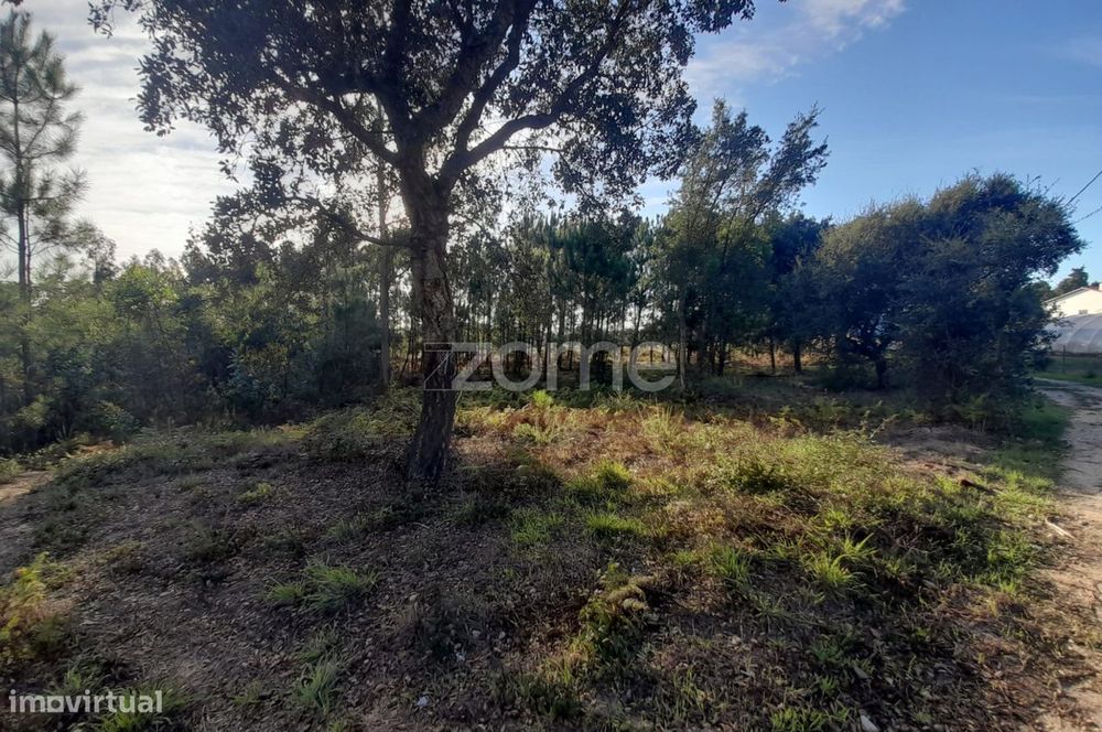 Terreno Rustico