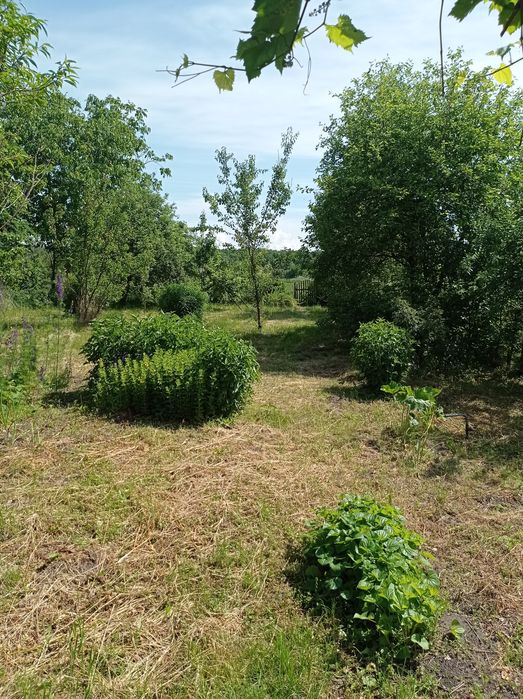 Гарненький будиночок недалеко від міста в селі Піски.