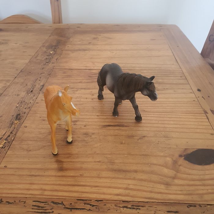 Material Equestre Diverso