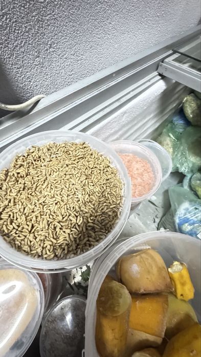 Мальок Австралійського рака•Екскурсії з дегустацією  на аквафермі.