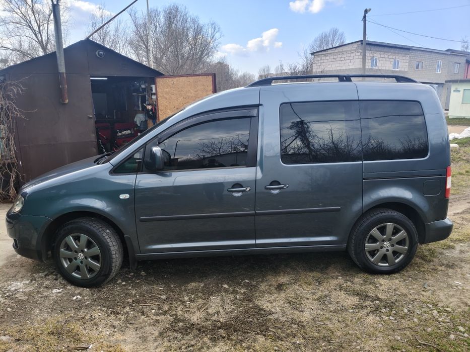 Продам каддик ухоженый