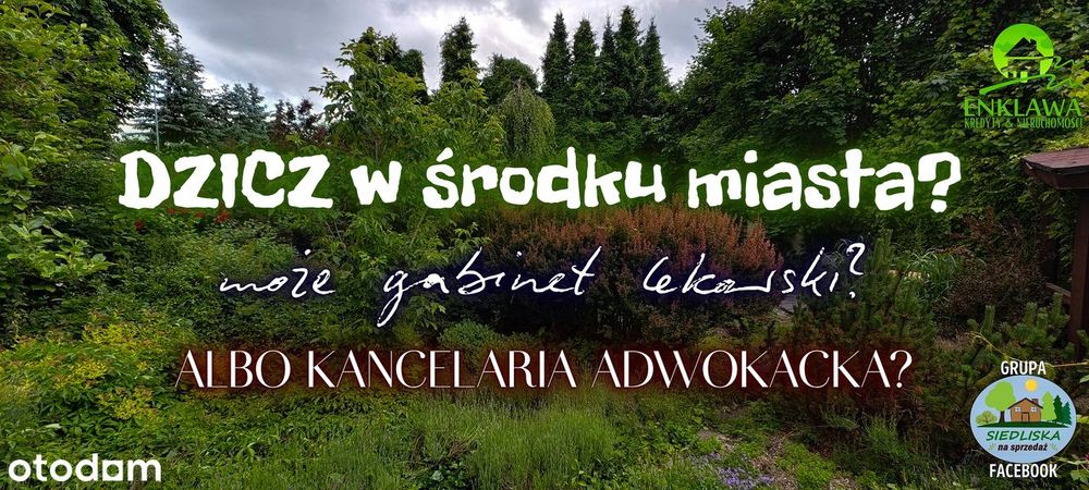 ENKLAWA zaprasza! DZICZ w środku miasta, abo WŁASNA KANCELARIA w domu?