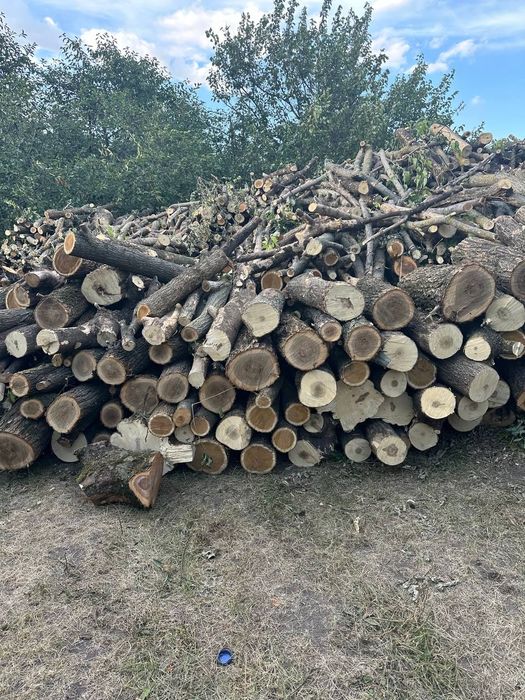 Дрова мікс акація, клен, берест, фруктові + Документи