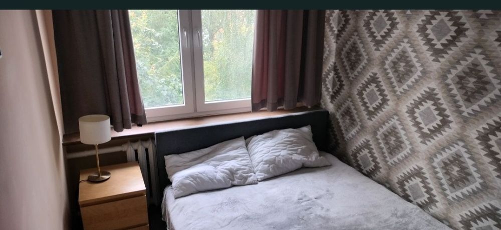 Zdjęcie 5