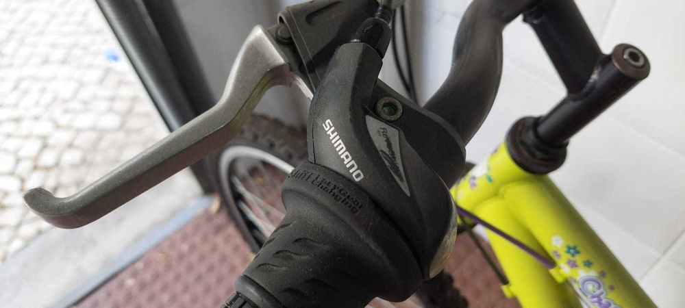 Bicicleta Júnior BERG CHARM 243