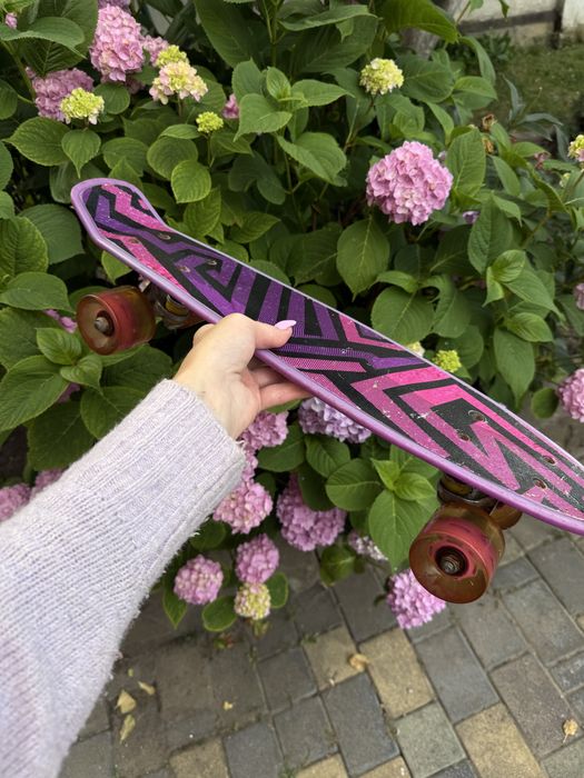 Скейт Пенні борд Penny board з малюнком для дітей і підлітків Фіолетовий