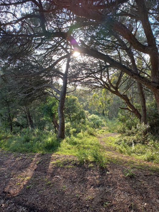 Terreno rustico com vista mar