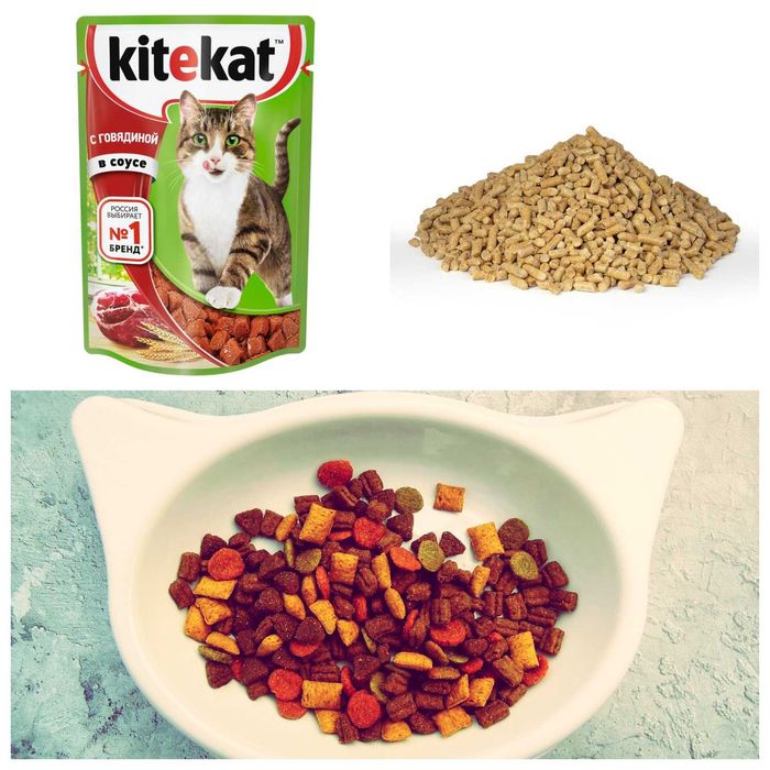 Аквариумные рыбки ХЕРСОН