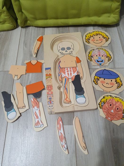 Puzzle drewniane edukacyjne chłopiec anatomia