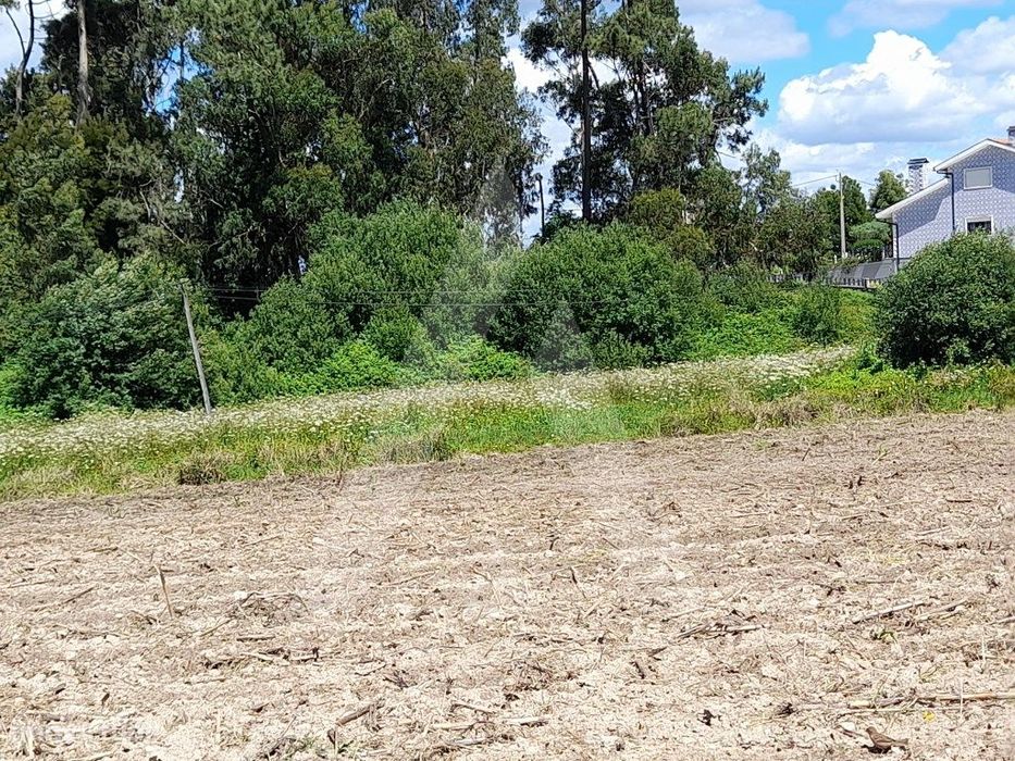 Land designated for construction of up to 18 dwellings in Patela, S. Bernardo
