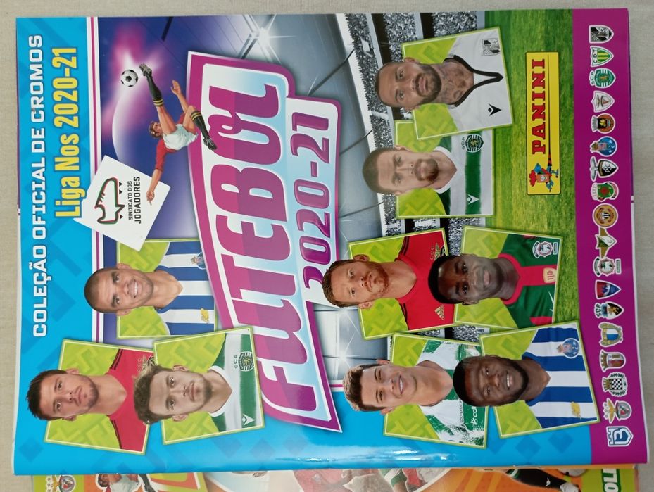 Cadernetas Panini Futebol