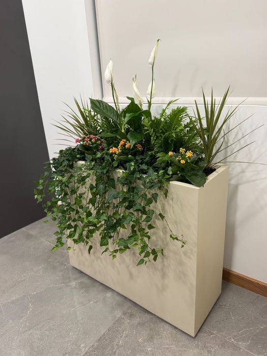 Floreira Moderna com Plantas Naturais