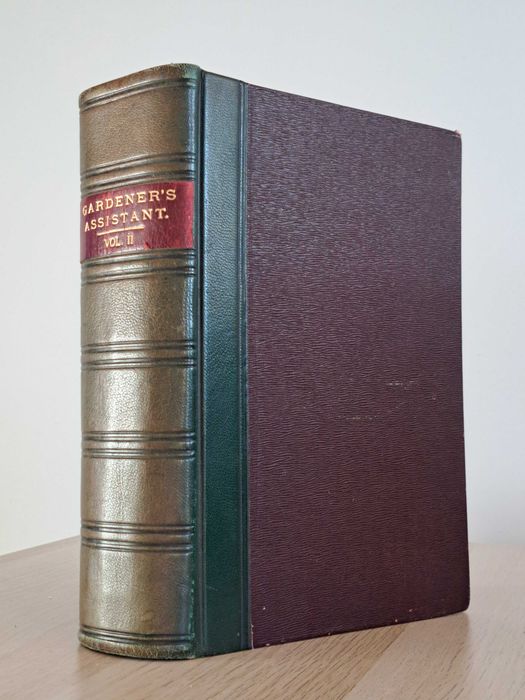 1910 rok. Asystent Ogrodników. The Gardener's Assistant. Tom II