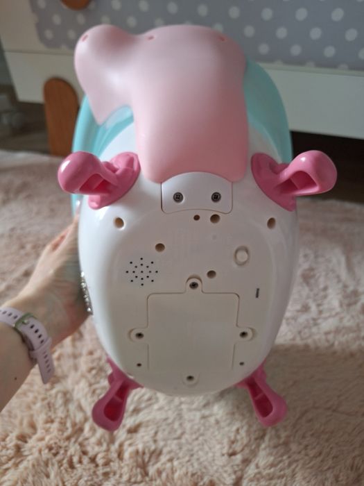 Wanienka Baby Born