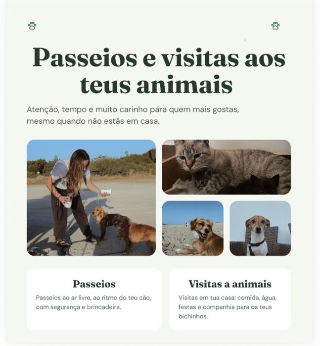 Passeio de animais domesticos