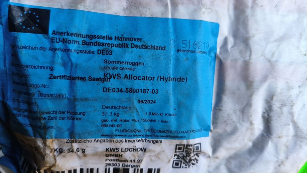 Żyto hybrydowe jare KWS ALLOCATOR HYBRYDA  na poplon czyste naszykowane do siewu