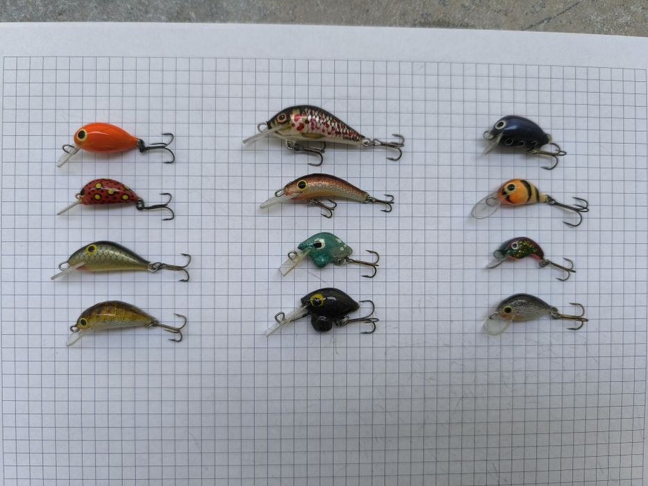 Woblery kleniowo-jaziowe 12 sztuk + pudełko