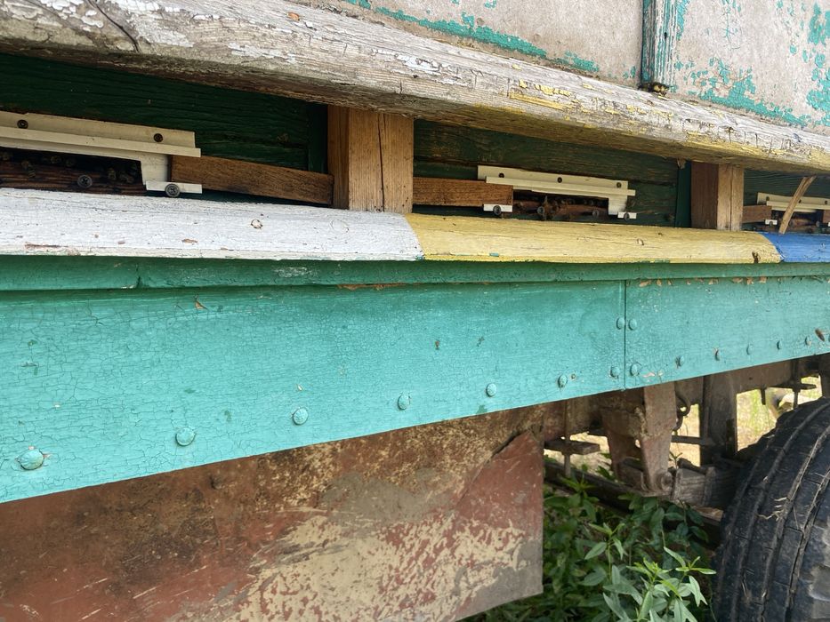 Пчеловодческий Павильён