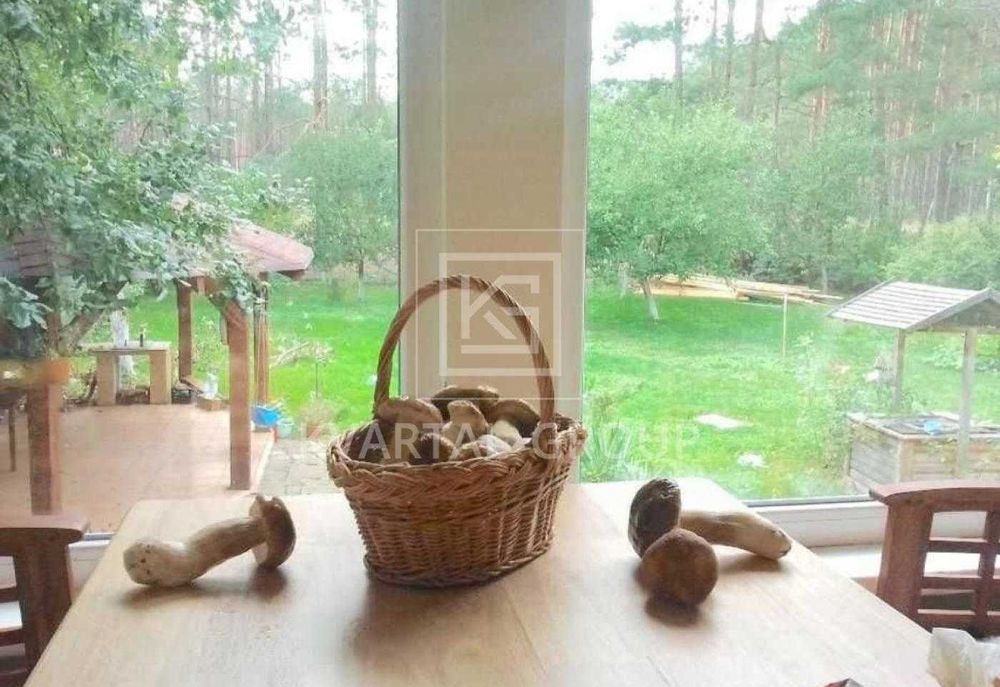 Затишний будинок із каміном, терасою та 12 сотками біля лісу