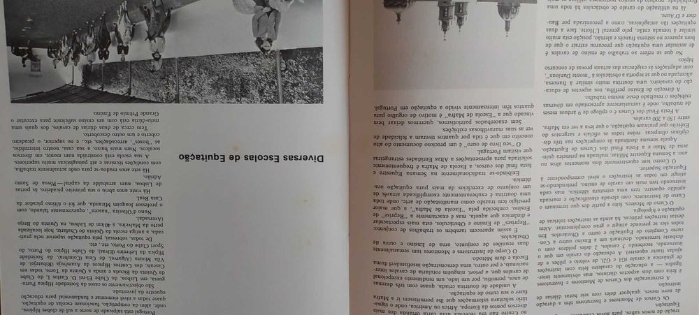 Portugal e os seus cavalos