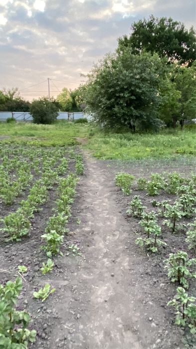 Хатинка + Струмок, с. Красне Перше, м. Обухів 3км, м. Київ 35км.