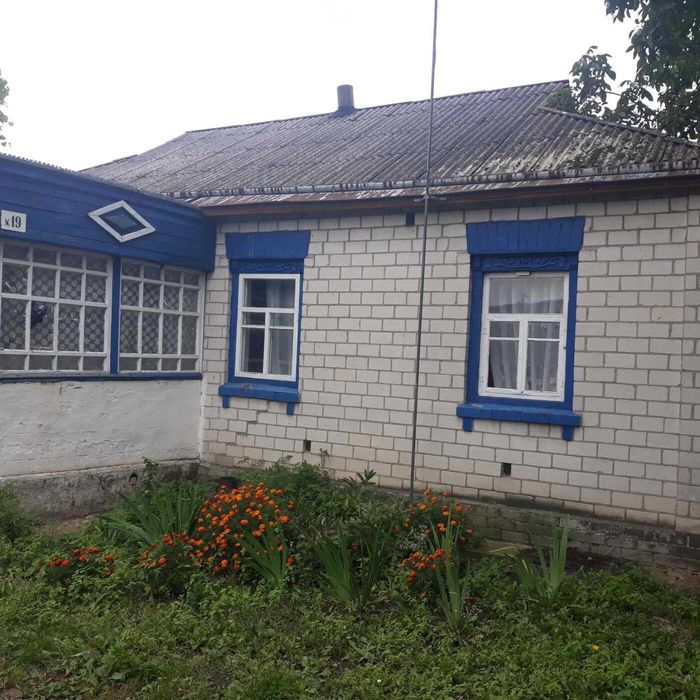 Продаж окремого будинку в селі в Чернігівській обл. Ніжинський р-н