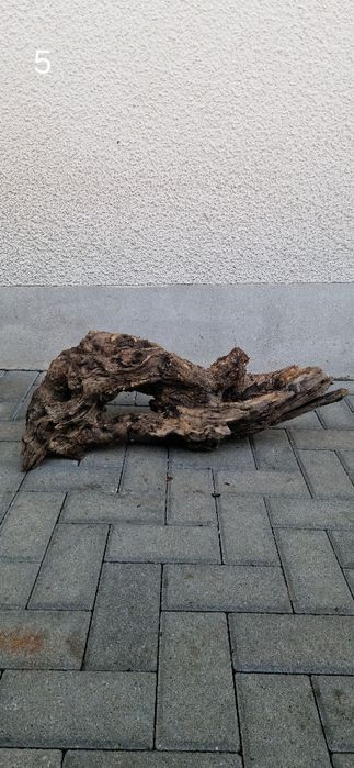 Korzeń do akwarium
