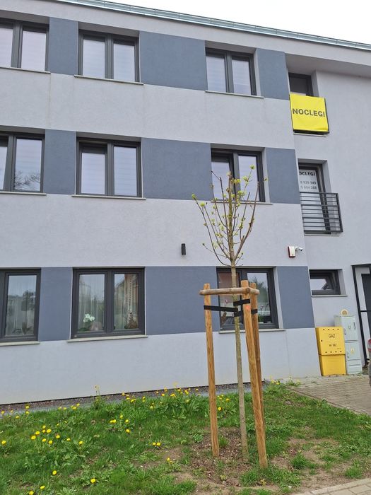 Noclegi Pracownicze i Indywidualne "OKAPI" Poznań przy  A2