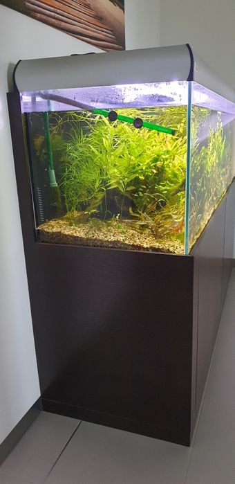 Akwarium  diversa 720 litrów 60x60x200 z osprzętem